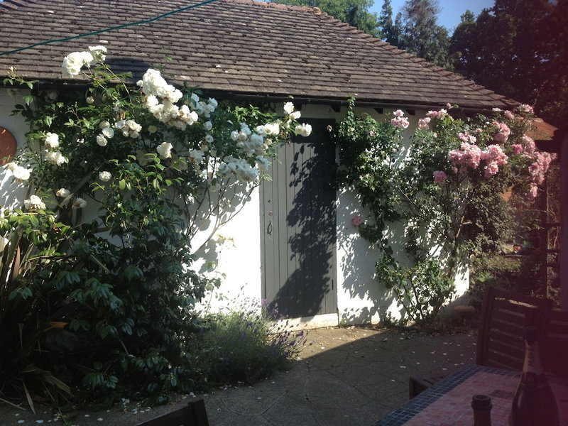 West End Lodge, Esher, United Kingdom