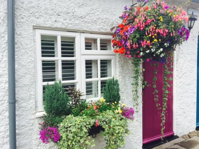 The Swan Inn, Nantwich, United Kingdom