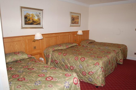 Viking Hotel, London, United Kingdom