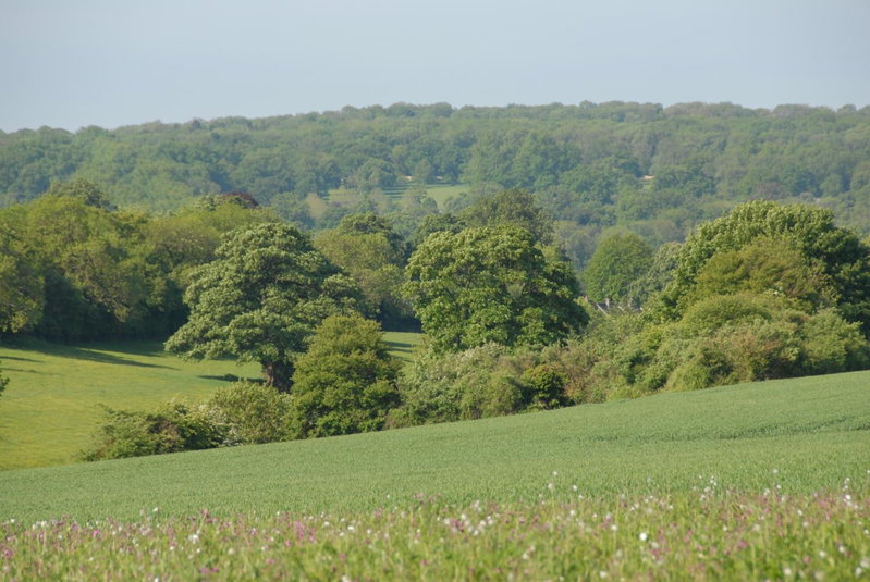 Banbury Hill Farm Bed & Breakfast, Charlbury, United Kingdom