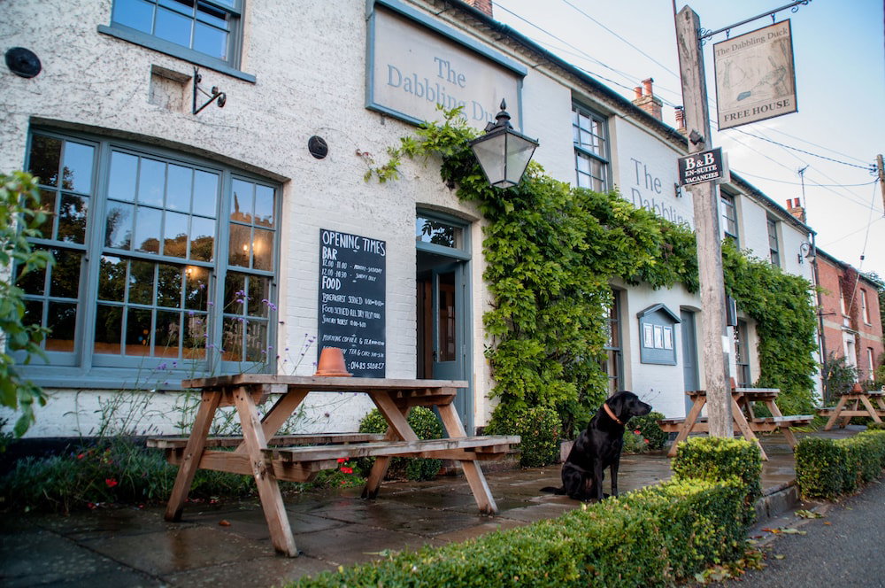 The Dabbling Duck, United Kingdom