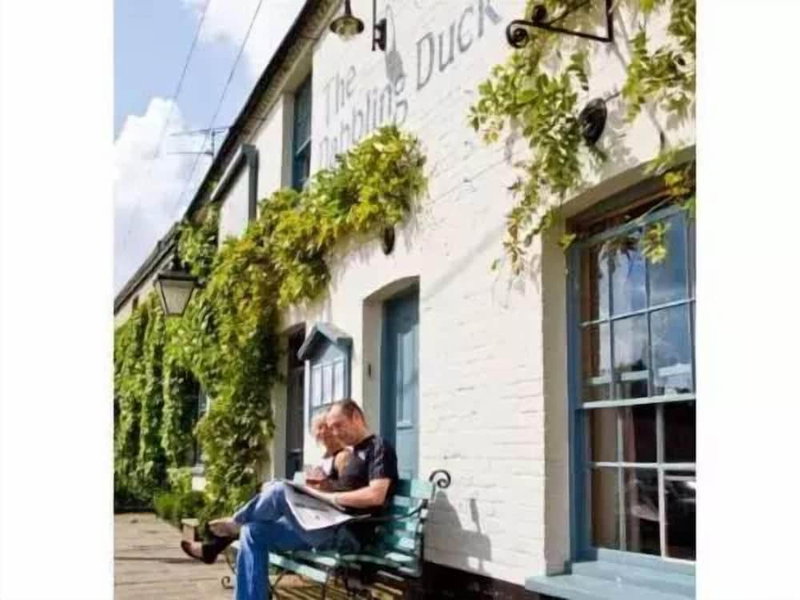 The Dabbling Duck, King's Lynn, United Kingdom