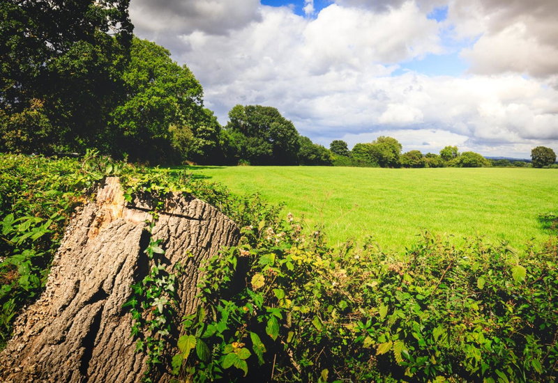 Oak Mead, Wrexham, United Kingdom