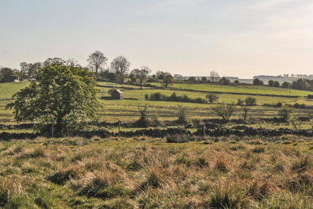 Moorland View Farm B&B, Oakamoor, United Kingdom