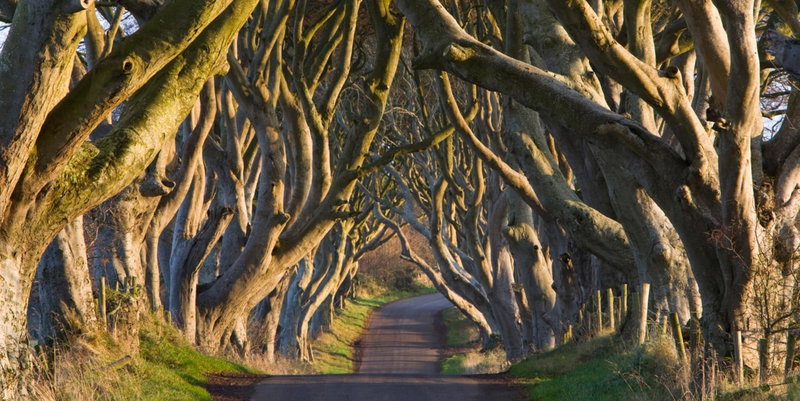 Causeway Bay Guesthouse Portrush, Portrush, United Kingdom