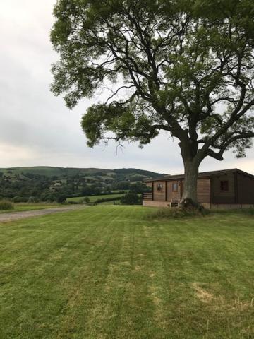 RedWood Lodge, Ludlow, United Kingdom