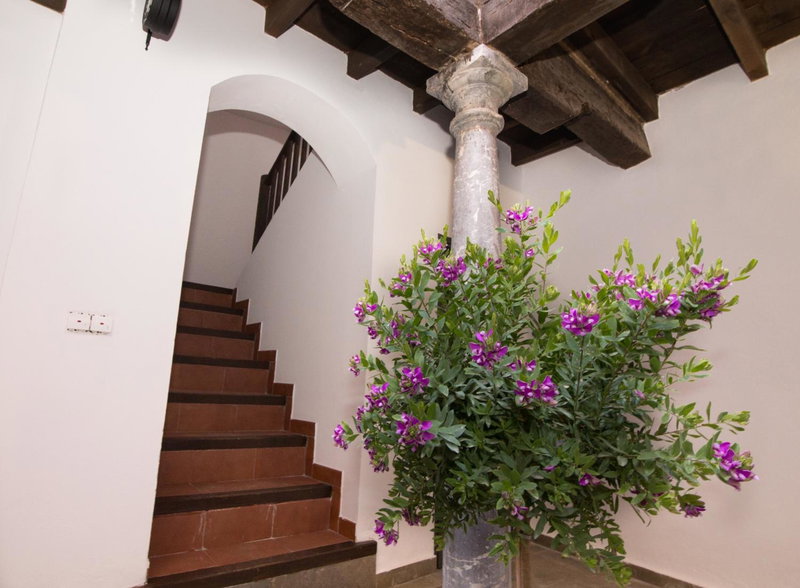 Apartamentos Nahira Suites 3000, Granada, Spain