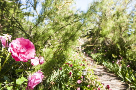 Hotel Rural Biniarroca - Adults Only, Sant Lluis, Spain