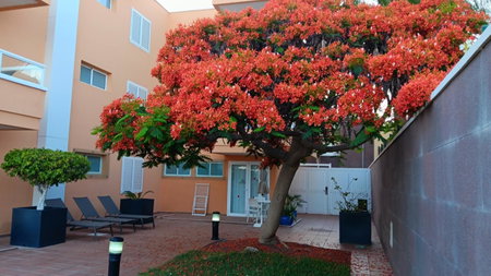 Apartamentos Horizonte, Playa del Ingles, Spain