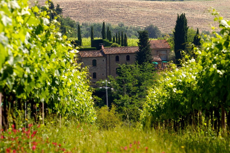 Rocca degli Olivi, San Gimignano, Italy