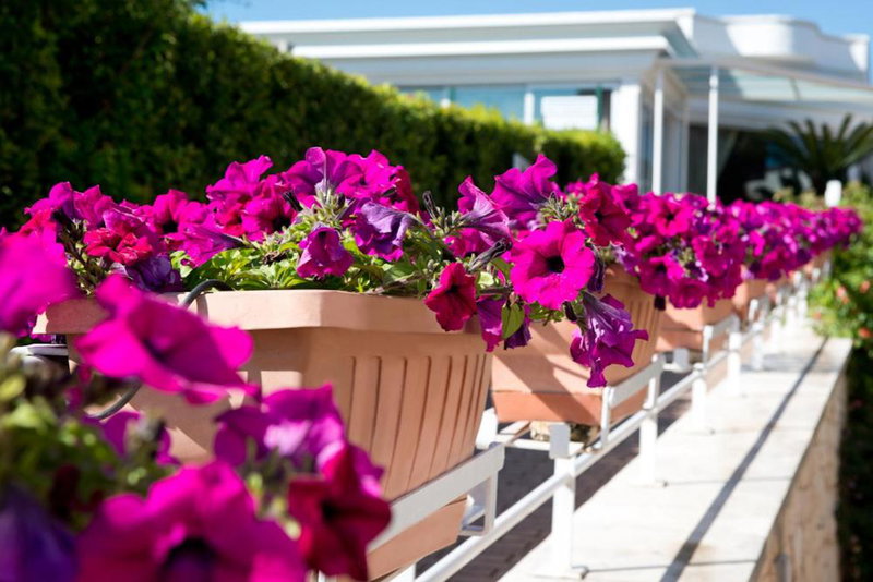 Park Hotel La Grave, Putignano, Italy