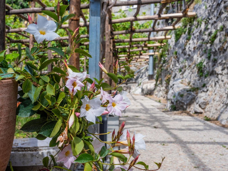 Albergo Diffuso Bacco Furore, Furore, Italy