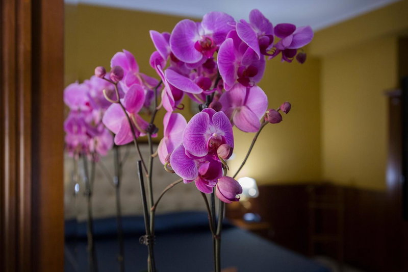 Hotel San Michele, Milazzo, Italy