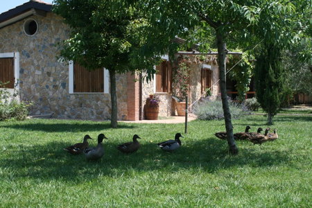 Azienda Agrituristica Vivi Natura, Pompei, Italy