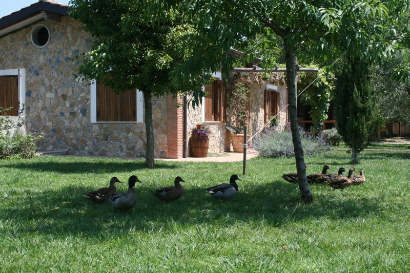 Azienda Agrituristica Vivi Natura, Pompei, Italy