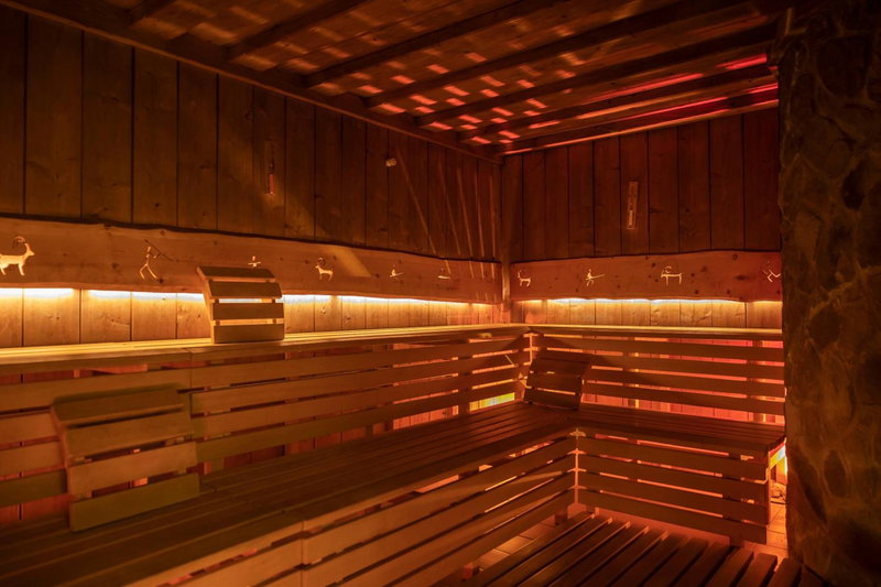Artnatur Dolomites Hotel & Spa, Siusi, Italy