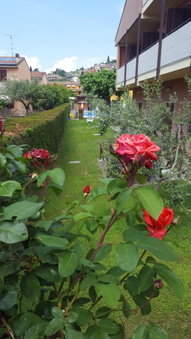 Hotel Andreis, Cavaion Veronese, Italy