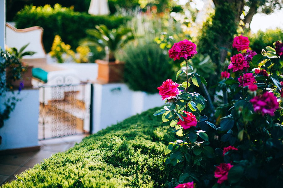 IL Giardino Dell'Arte - Guest House, Anacapri, Italy