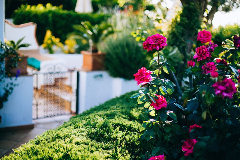 IL Giardino Dell'Arte - Guest House, Anacapri, Italy