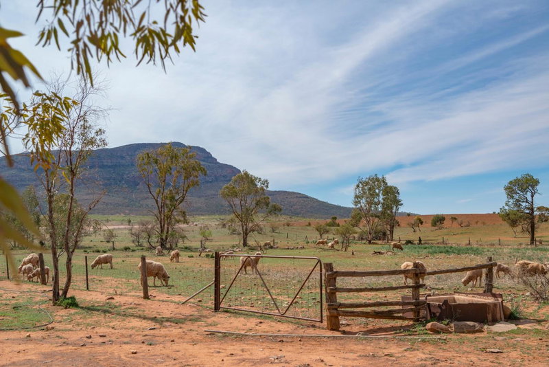 Rawnsley Park Station, Flinders Ranges, Australia