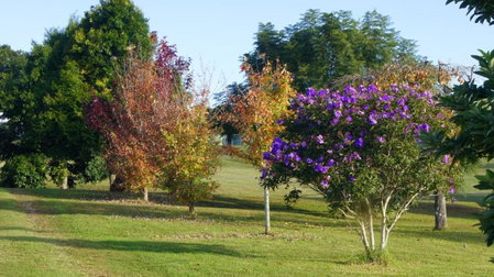 La Dolce Vita, Beechmont, Australia