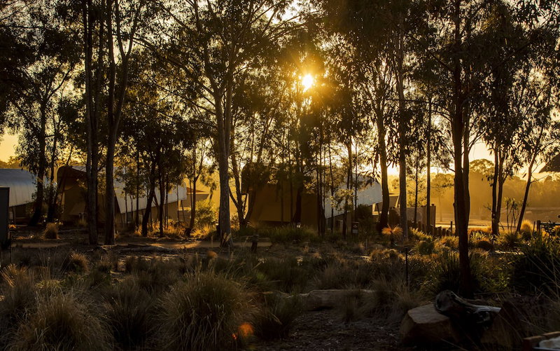 Zoofari Lodge at Taronga Western Plains, Dubbo, Australia