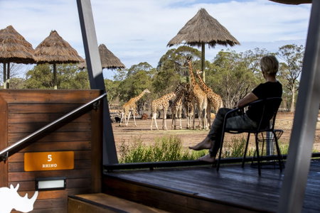 Zoofari Lodge at Taronga Western Plains, Dubbo, Australia