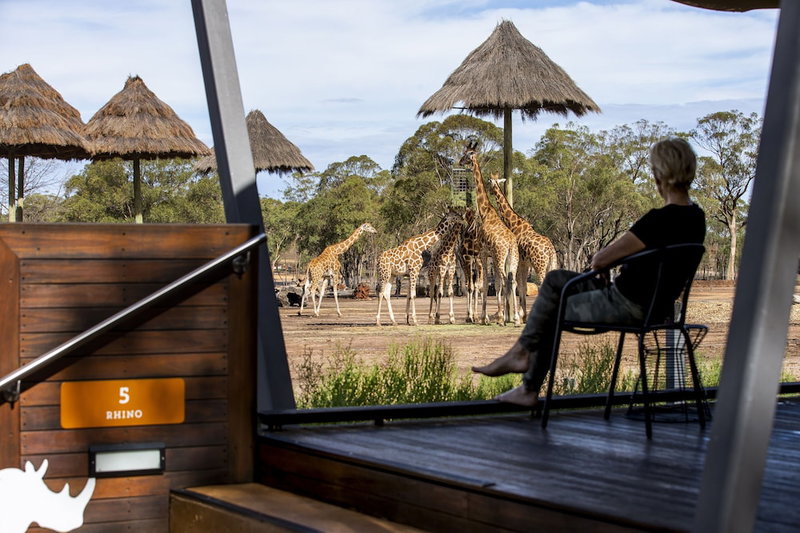 Zoofari Lodge at Taronga Western Plains, Dubbo, Australia
