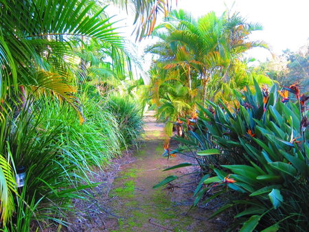 Byron Lakeside Holiday Apartments, Byron Bay, Australia