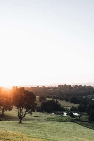 The Brooklet, Byron Bay, Australia