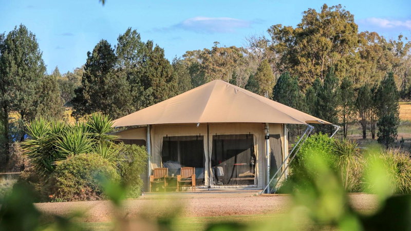 Dubbo Rhino Lodge, Dubbo, Australia