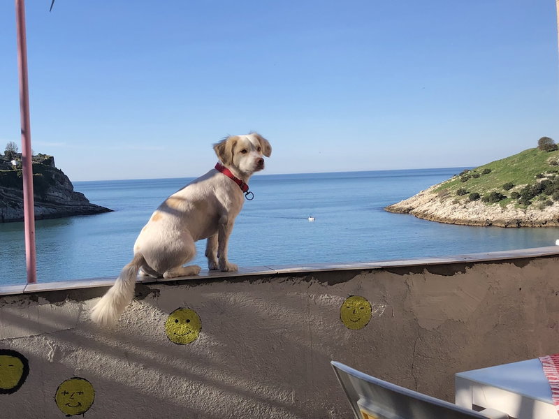 Frau Guler, Amasra, Turkey