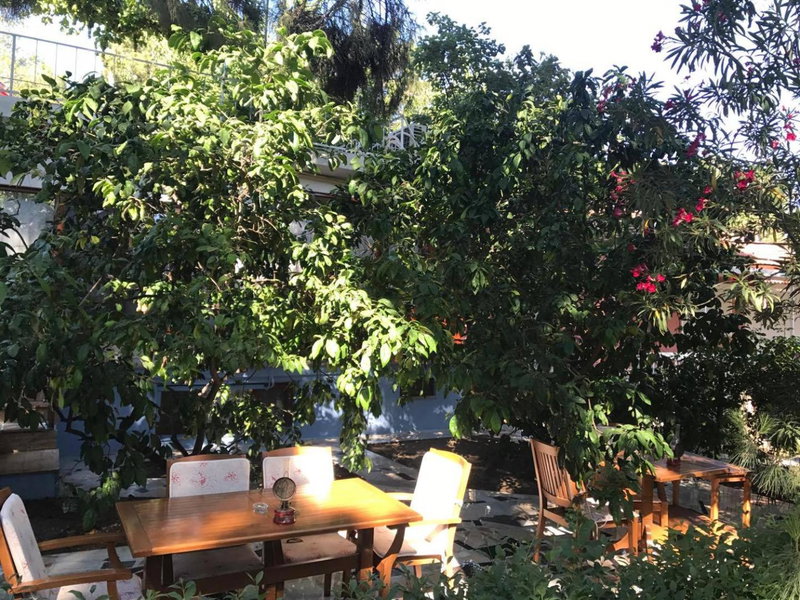 Pekcan Otel, Burhaniye, Turkey