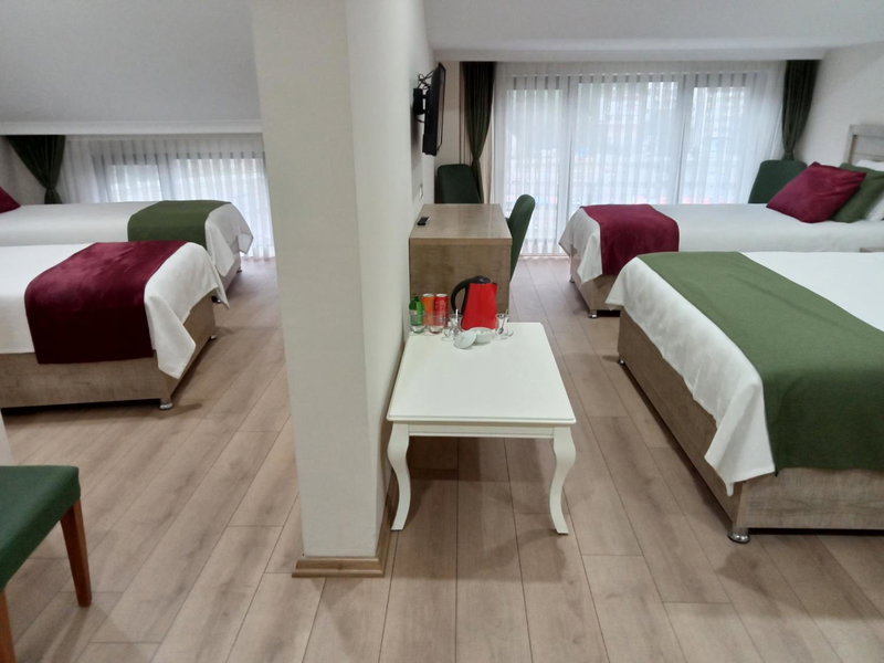 Kurt Otel, Degirmen, Turkey