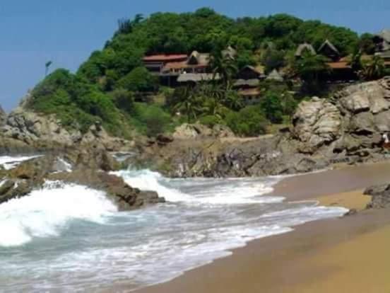 Shambhala Visión, Mexico