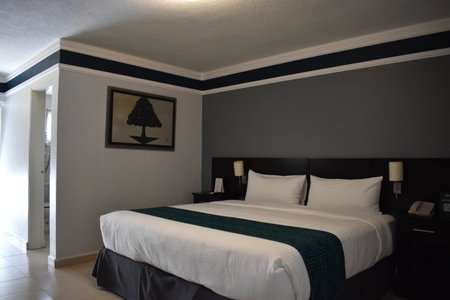 InHouse Hotel León, León, Mexico