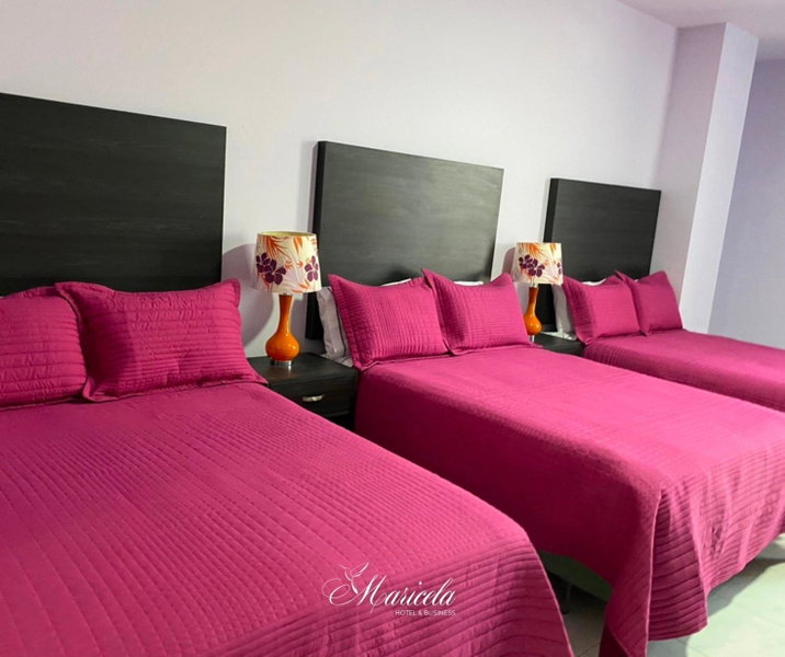 Hotel Maricela, San Juan de los Lagos, Mexico