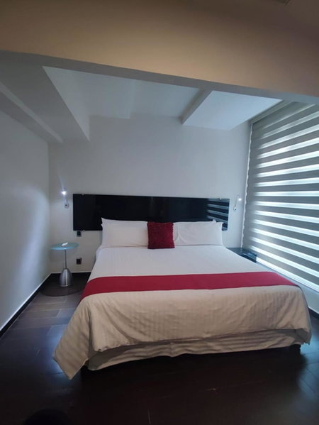 Zújmú Business Boutique Hotel, Aguascalientes, Mexico