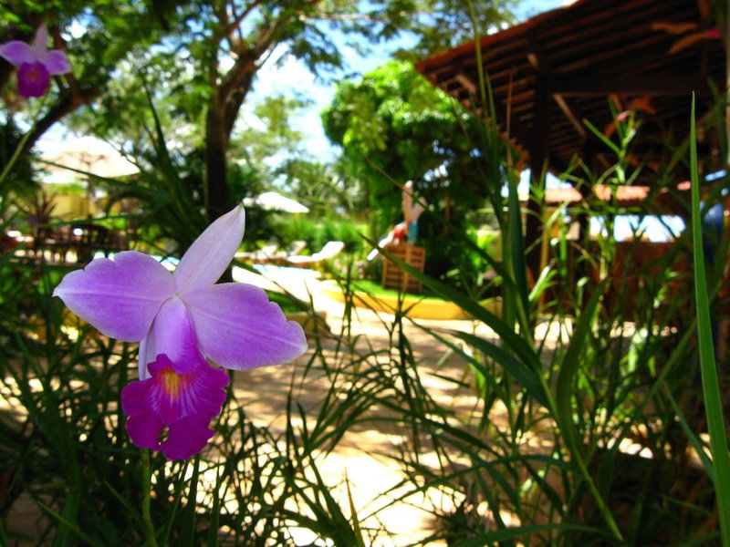 ThalassaGarden Hotel - Pousada, Tibau do Sul, Brésil