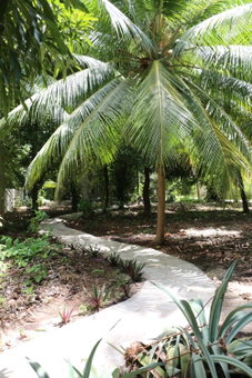 Pousada Ponta de Mangue, Maragogi, Brazil