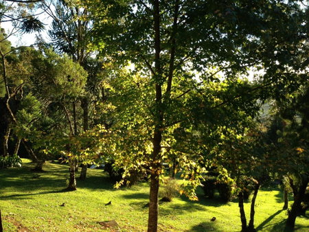 Hospedagem Spa da Alma, Monte Verde, Brazil