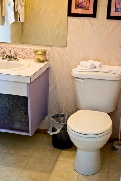 The Dewberry Homestay B&B, Edmonton, Canada