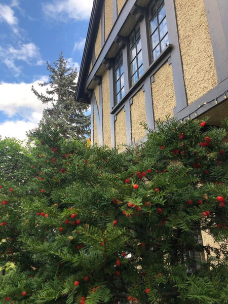 Ambassador B&B, Ottawa, Canada