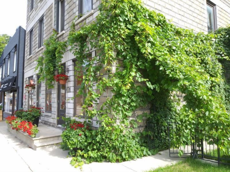Vieux-Old Farnham Appart Condotel1, Saint-Jean-sur-Richelieu, Canada