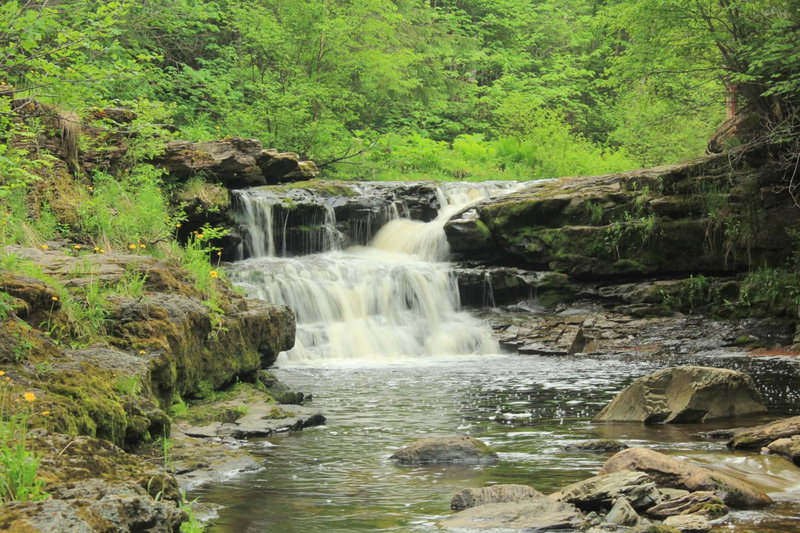 Rocky Brook Acres, Cormack, Canada