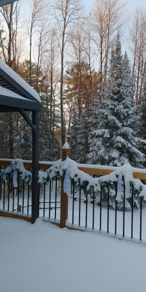 Suite in the Bush-Private Apartment, Bancroft, Canada