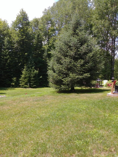 Suite in the Bush-Private Apartment, Bancroft, Canada