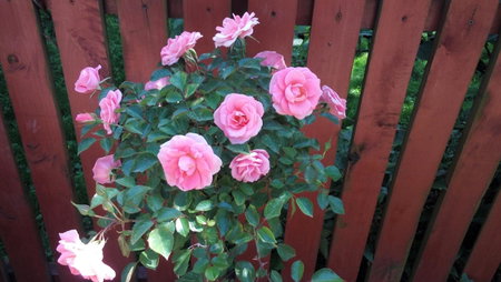 Willa Gościnny Próg, Krościenko, Poland