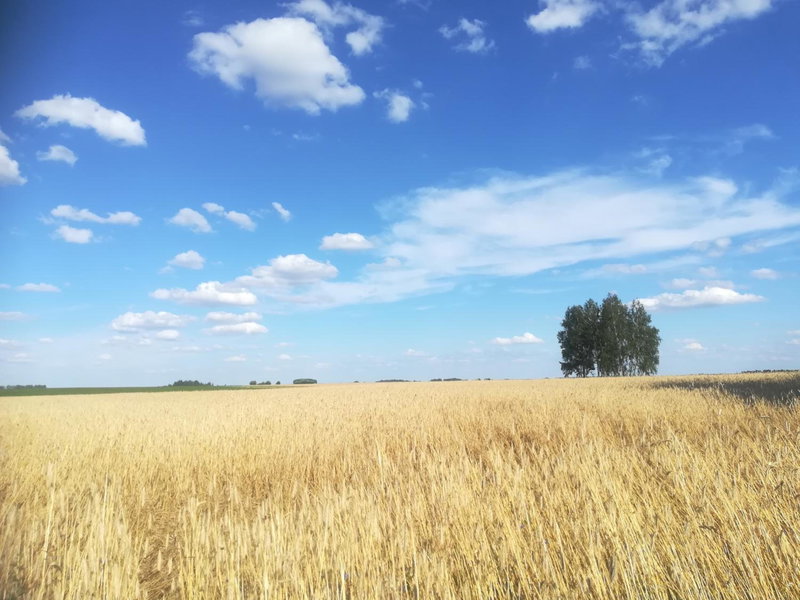 Zielony Zakątek, Krynki, Poland