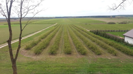 Zielony Zakątek, Krynki, Poland